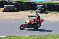 enduro-digital-images;event-digital-images;eventdigitalimages;lydden-hill;lydden-no-limits-trackday;lydden-photographs;lydden-trackday-photographs;no-limits-trackdays;peter-wileman-photography;racing-digital-images;trackday-digital-images;trackday-photos